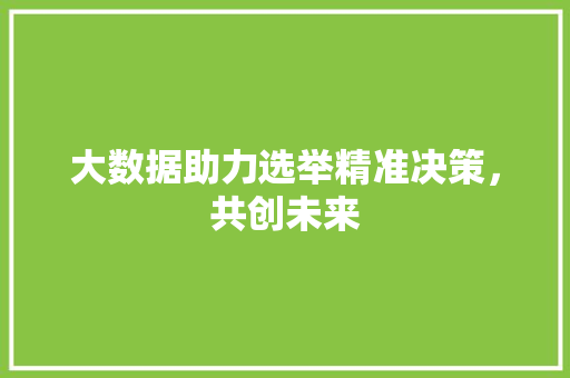 大数据助力选举精准决策，共创未来