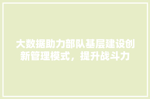 大数据助力部队基层建设创新管理模式，提升战斗力