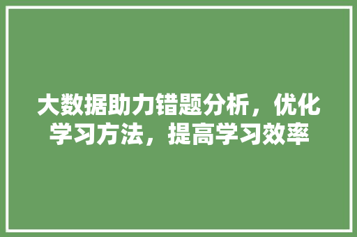 大数据助力错题分析，优化学习方法，提高学习效率