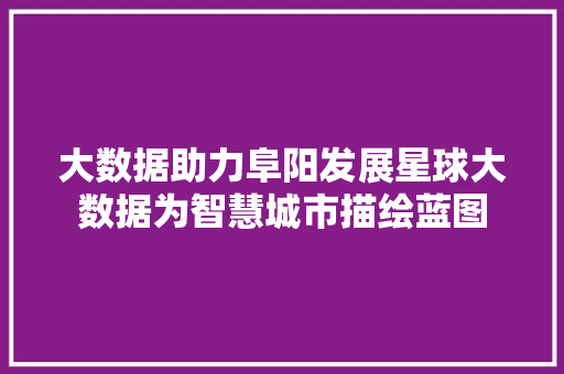 大数据助力阜阳发展星球大数据为智慧城市描绘蓝图