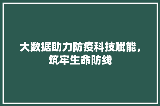 大数据助力防疫科技赋能，筑牢生命防线