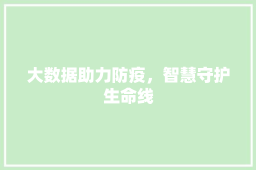 大数据助力防疫，智慧守护生命线