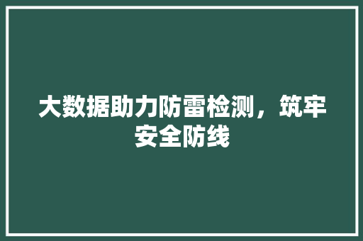 大数据助力防雷检测，筑牢安全防线