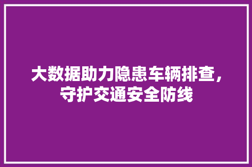 大数据助力隐患车辆排查，守护交通安全防线 电脑配置