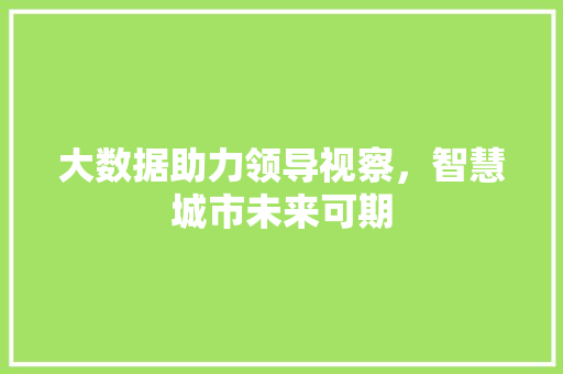 大数据助力领导视察，智慧城市未来可期