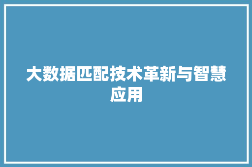 大数据匹配技术革新与智慧应用