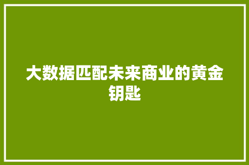 大数据匹配未来商业的黄金钥匙