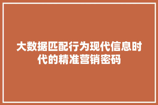 大数据匹配行为现代信息时代的精准营销密码