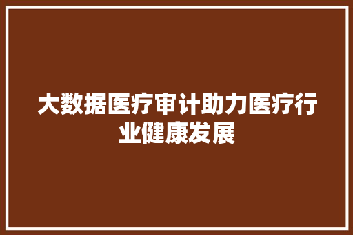 大数据医疗审计助力医疗行业健康发展