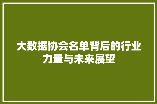 大数据协会名单背后的行业力量与未来展望