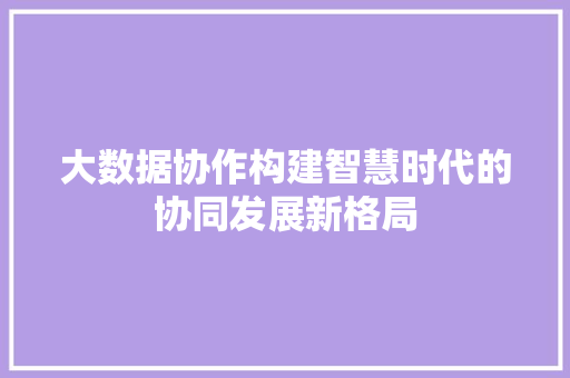 大数据协作构建智慧时代的协同发展新格局