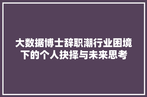 大数据博士辞职潮行业困境下的个人抉择与未来思考 编程语言