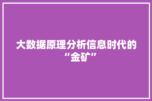 大数据原理分析信息时代的“金矿”