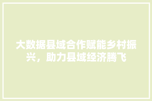 大数据县域合作赋能乡村振兴，助力县域经济腾飞 电脑故障维修