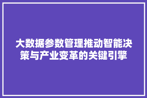 大数据参数管理推动智能决策与产业变革的关键引擎