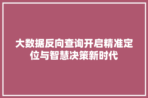 大数据反向查询开启精准定位与智慧决策新时代