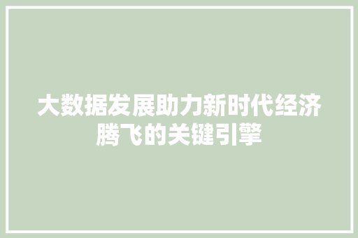 大数据发展助力新时代经济腾飞的关键引擎