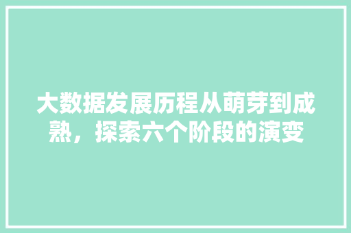 大数据发展历程从萌芽到成熟，探索六个阶段的演变