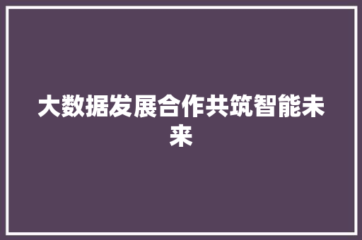 大数据发展合作共筑智能未来