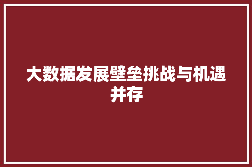 大数据发展壁垒挑战与机遇并存
