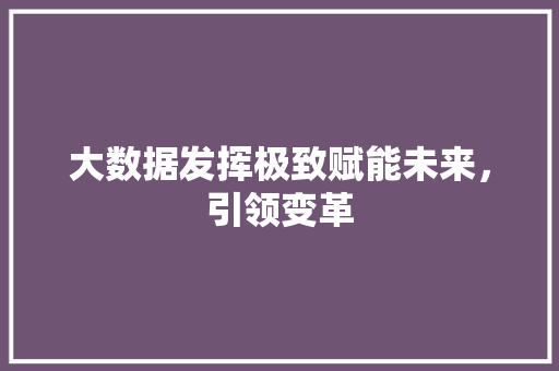 大数据发挥极致赋能未来,引领变革 大数据发挥极致赋能未来,引领变革