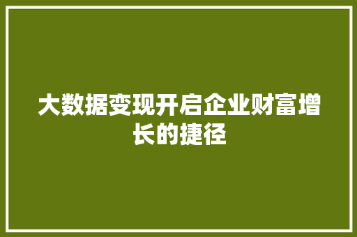 大数据变现开启企业财富增长的捷径