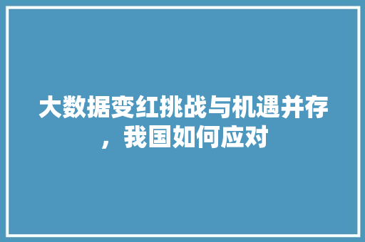 大数据变红挑战与机遇并存，我国如何应对