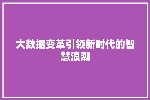 大数据变革引领新时代的智慧浪潮