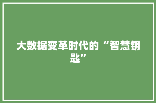 大数据变革时代的“智慧钥匙”
