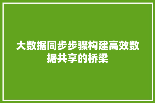 大数据同步步骤构建高效数据共享的桥梁