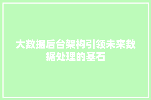 大数据后台架构引领未来数据处理的基石 编程语言
