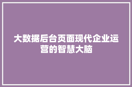 大数据后台页面现代企业运营的智慧大脑
