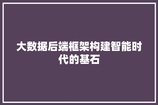 大数据后端框架构建智能时代的基石
