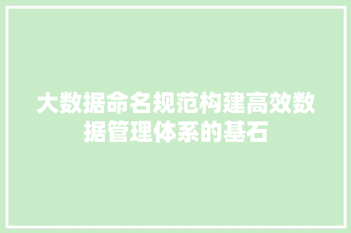 大数据命名规范构建高效数据管理体系的基石