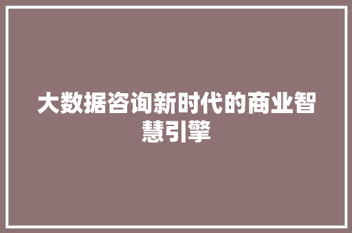 大数据咨询新时代的商业智慧引擎