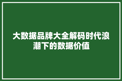 大数据品牌大全解码时代浪潮下的数据价值
