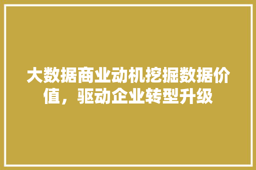 大数据商业动机挖掘数据价值，驱动企业转型升级