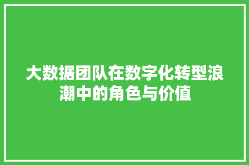 大数据团队在数字化转型浪潮中的角色与价值