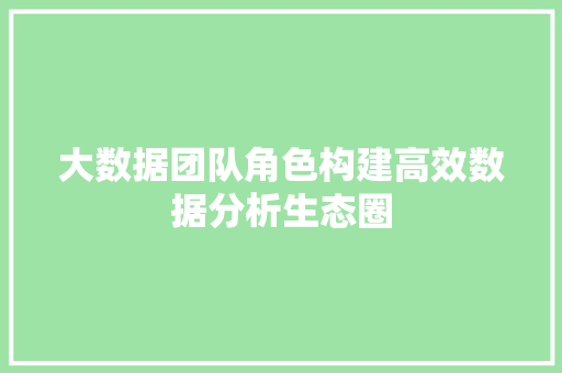 大数据团队角色构建高效数据分析生态圈