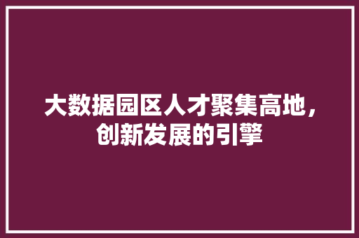 大数据园区人才聚集高地，创新发展的引擎