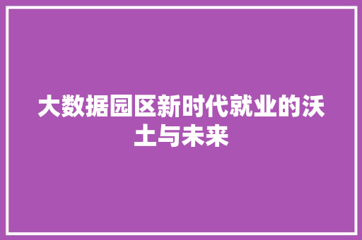 大数据园区新时代就业的沃土与未来