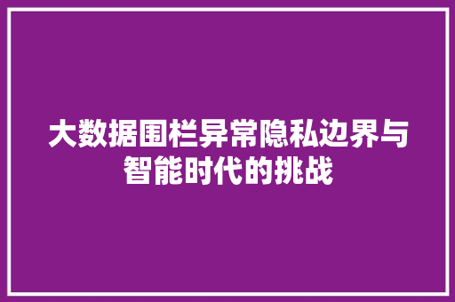 大数据围栏异常隐私边界与智能时代的挑战