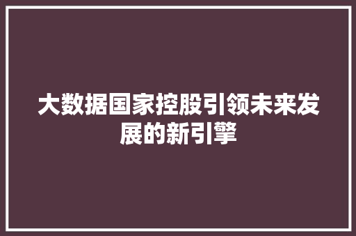 大数据国家控股引领未来发展的新引擎
