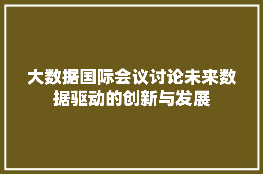 大数据国际会议讨论未来数据驱动的创新与发展