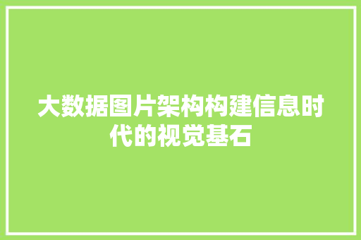 大数据图片架构构建信息时代的视觉基石