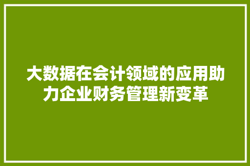 大数据在会计领域的应用助力企业财务管理新变革