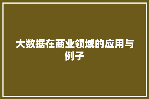 大数据在商业领域的应用与例子