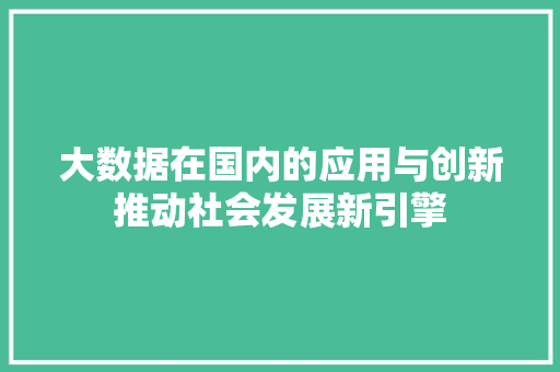 大数据在国内的应用与创新推动社会发展新引擎