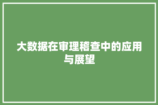 大数据在审理稽查中的应用与展望