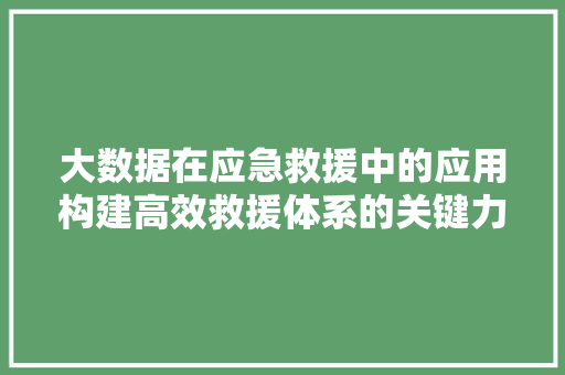 大数据在应急救援中的应用构建高效救援体系的关键力量